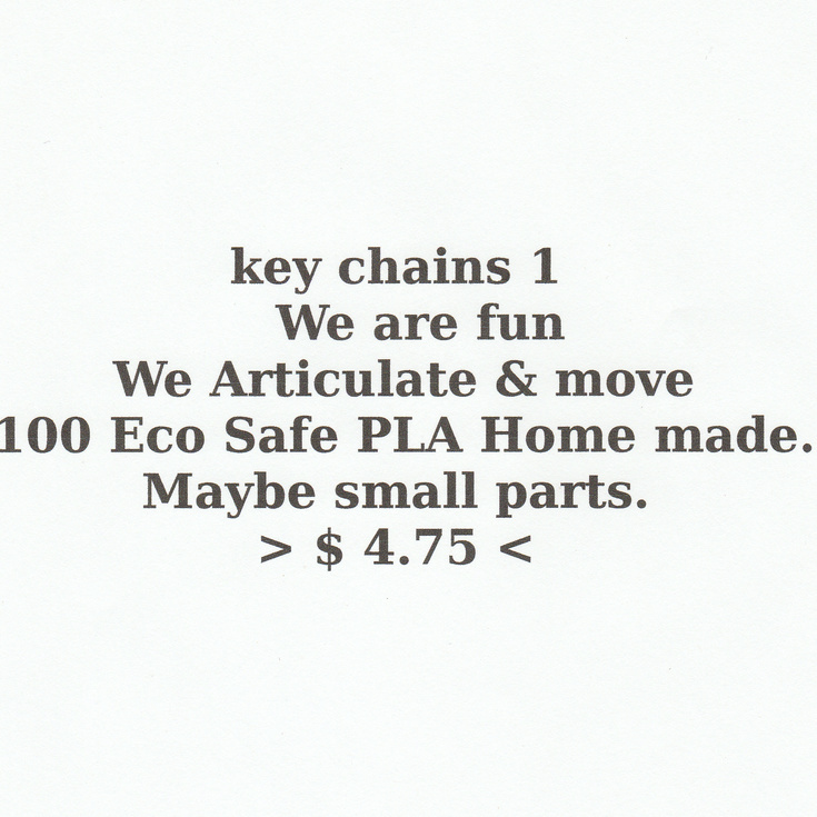 key chains 1